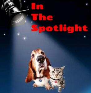 an in the spotlight gift